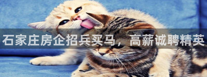 永利资管幕后老板