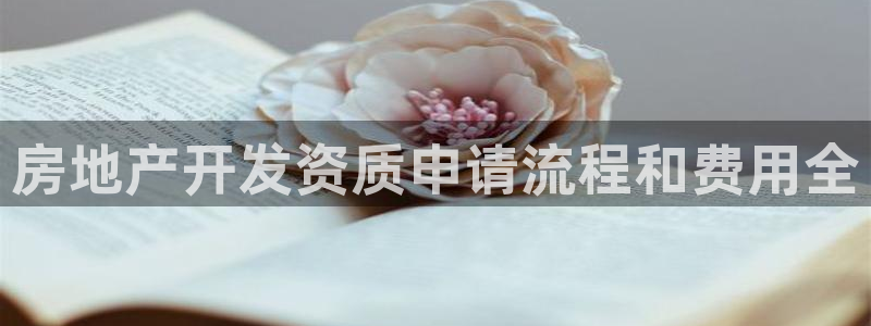 永利汇茶具官网