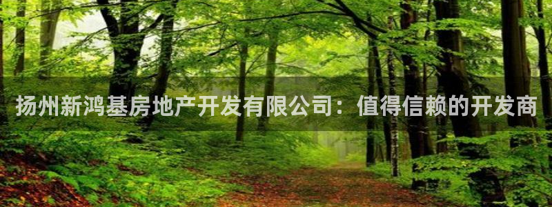 永利网会员