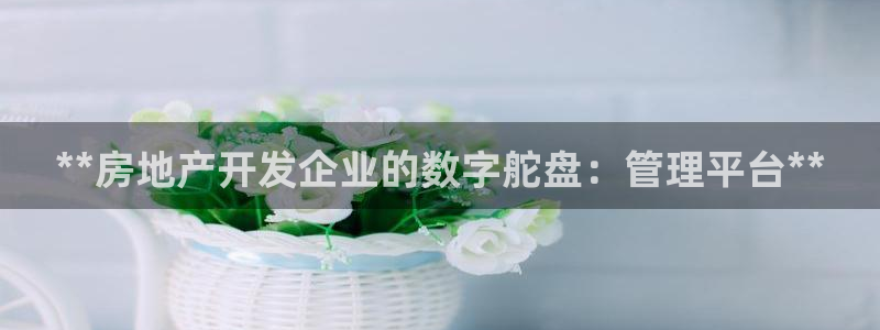 永利地产
