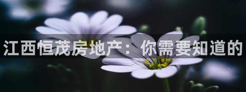 永利宝高管