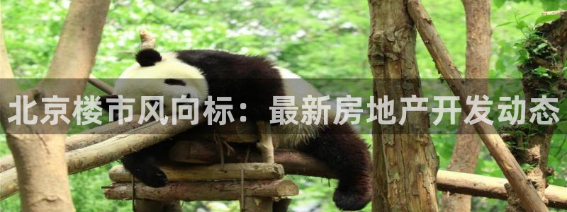 为什么永利会打不开了