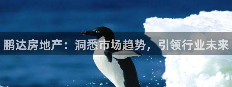 永利带业集团