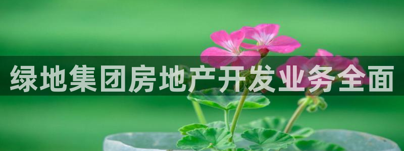 永利中国