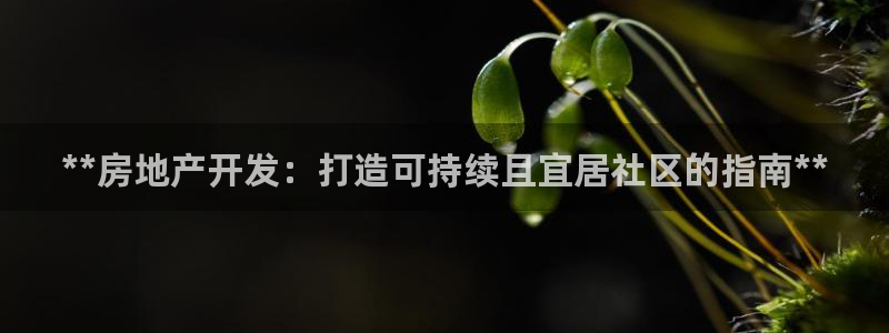 永利带钢