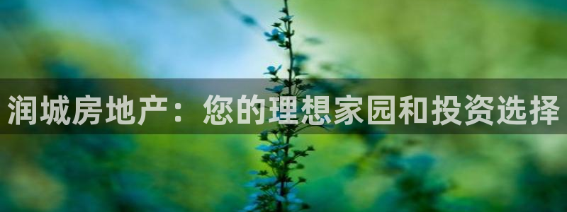 永利饭店老板