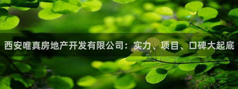 佛山永利工业皮带有限公司