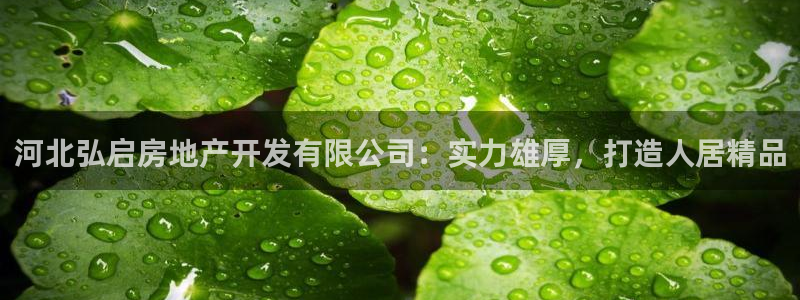 3044am永利集团