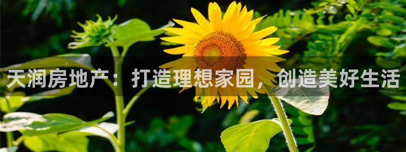 永利能源开发有限公司