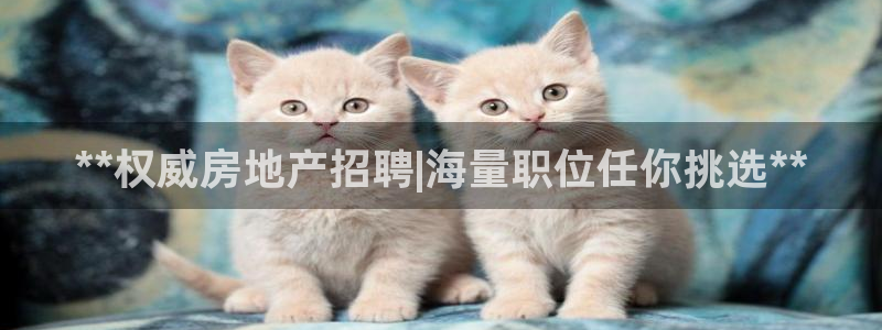 永利宝高管
