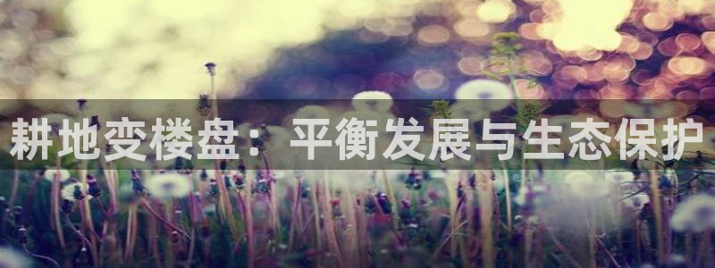 304.cam永利集团