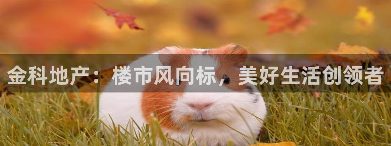永利精品酒店