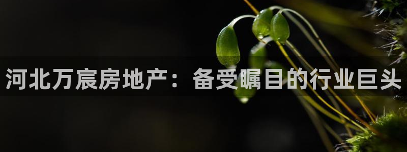 澳门永利误乐城图片