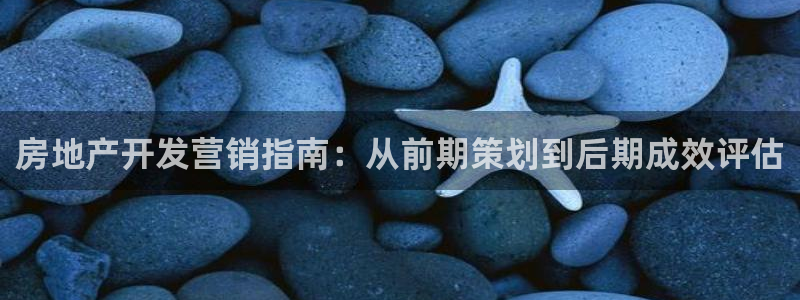 永利保险公司介绍