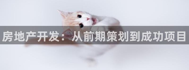 永利汇有什么服务