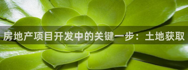 永利房地产开发有限公司