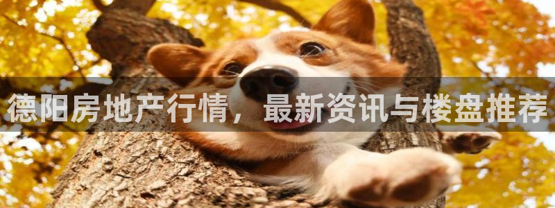 永利工艺品有限公司