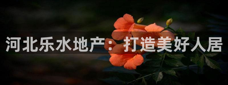 山东永利新材料
