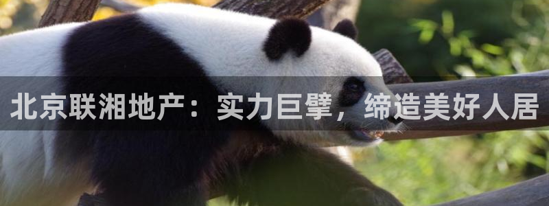 永利科技官网