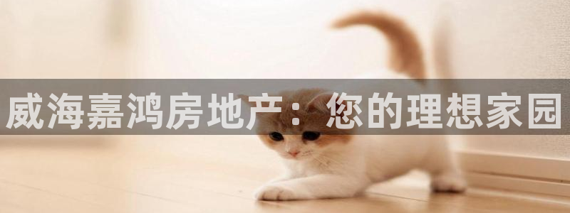 永利建筑工程有限公司