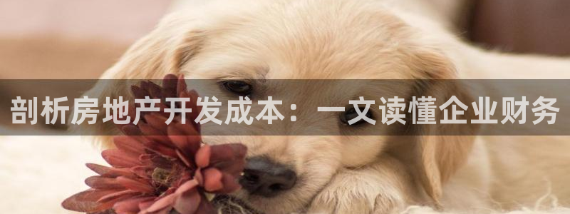 永利电影