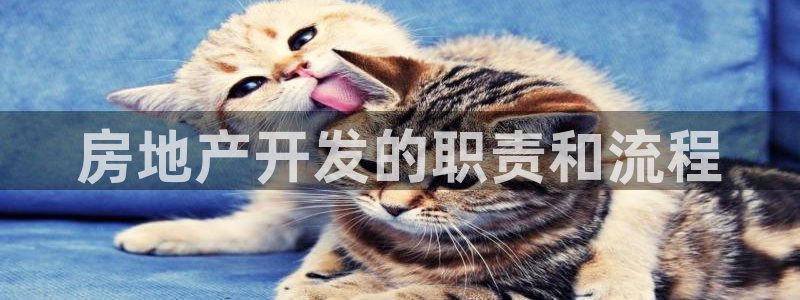 永利网是干什么的,能挣到钱吗?