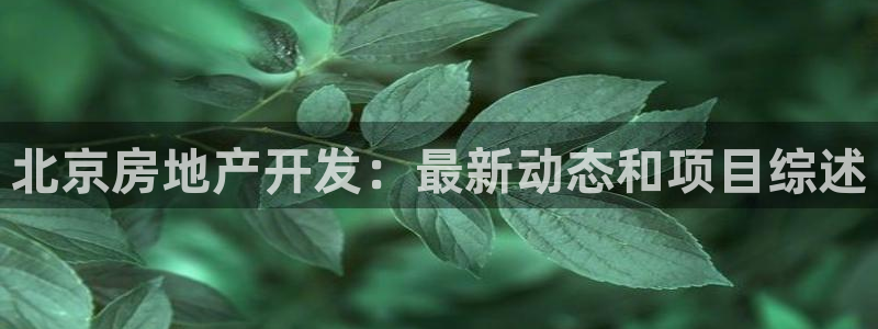 永利皮革有限公司招聘