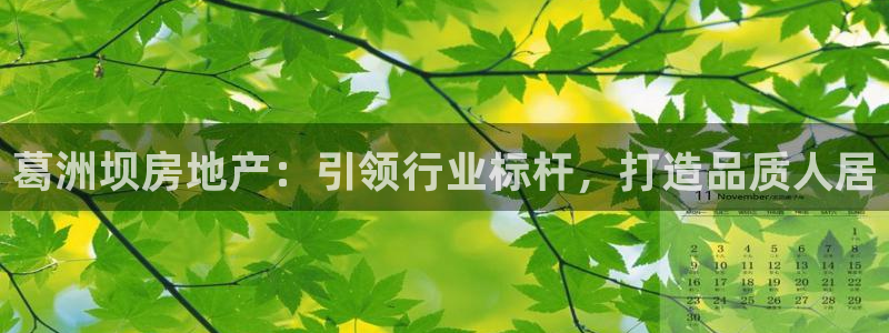 永利鞋业有限公司