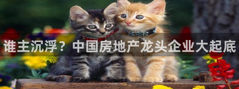 永利皮革有限公司地址