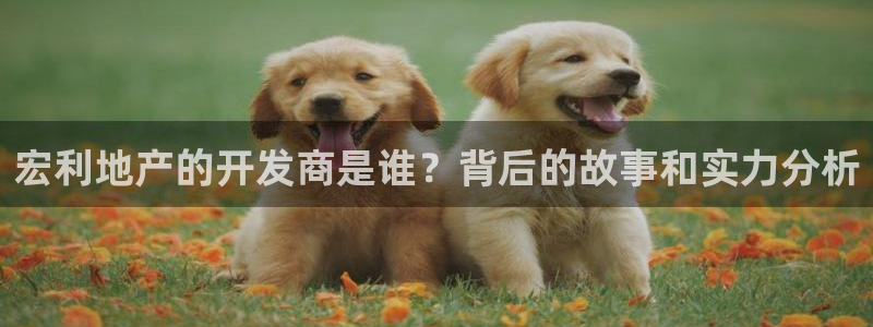 永利鞋业有限公司