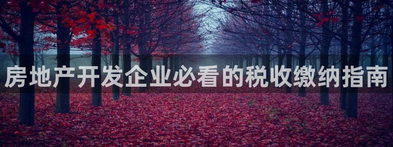 永利网是受国家法律保护吗