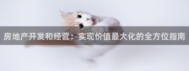 永利酒店老板