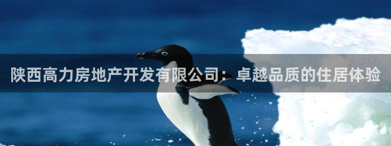 永利正版