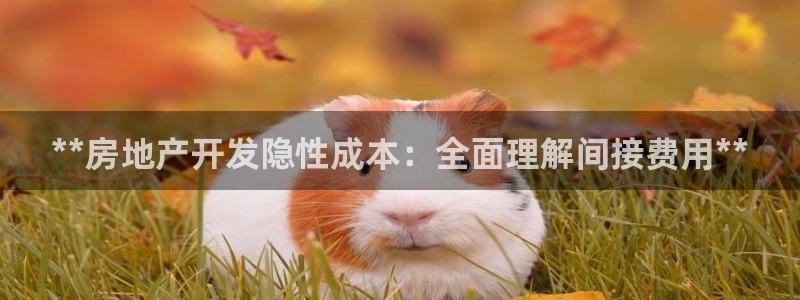 永利官网查询