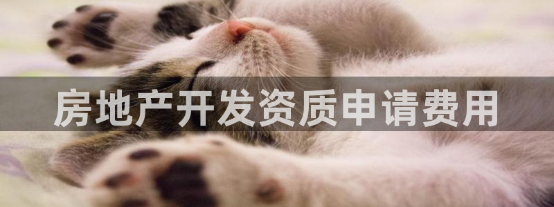 永利股份公告