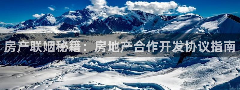 永利集团简介概况