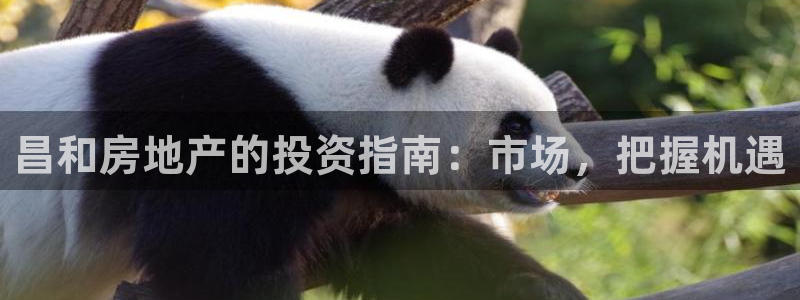 永利 澳门