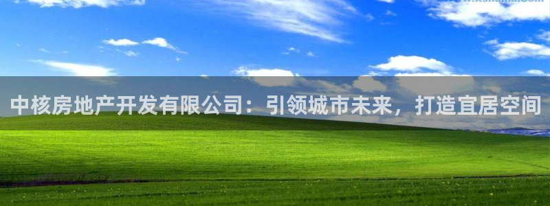 永利的老板是谁