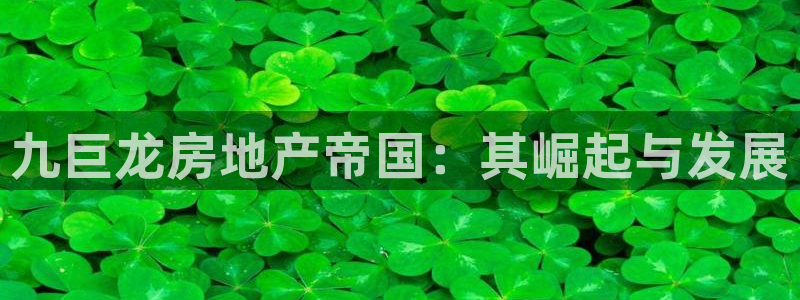 永利输的钱可以弄回来吗安全吗