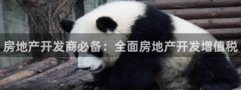 永利集团董事长