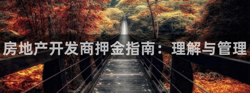 永利制带股票