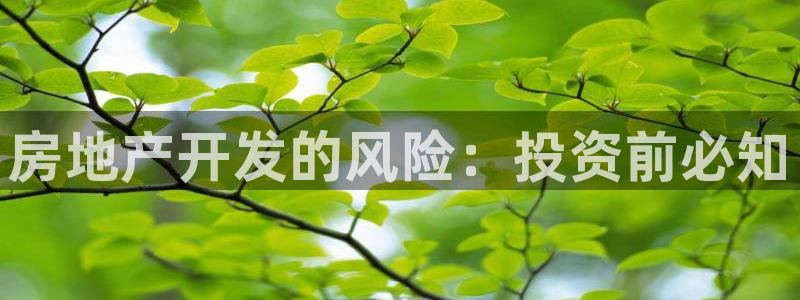 永利皮革有限公司怎么样