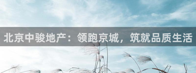 永利优惠大厅