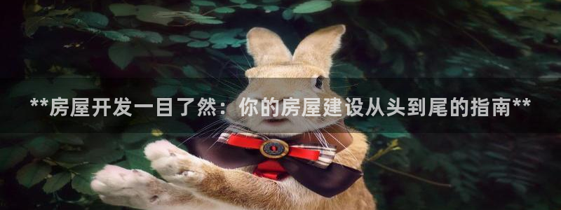 永利汇有什么服务