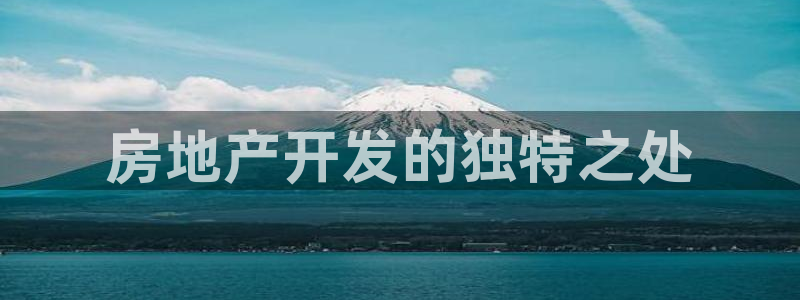 永利车业有限公司