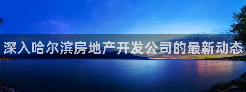 永利置业有限公司