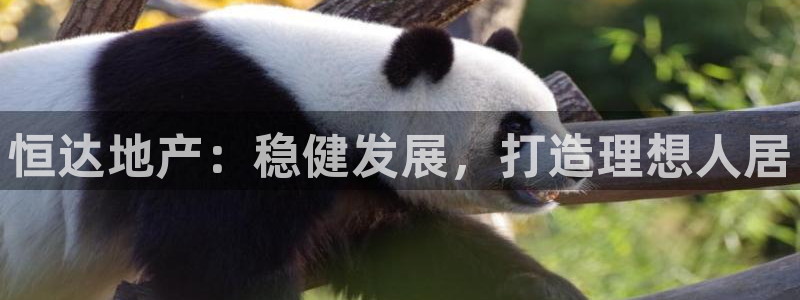 永利中国总裁