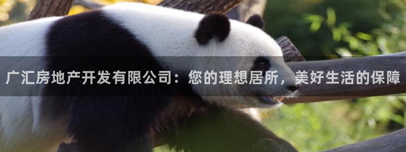 永利地产怎么样
