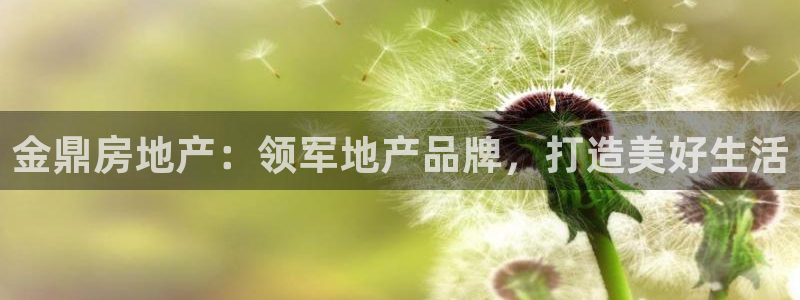 永利置业