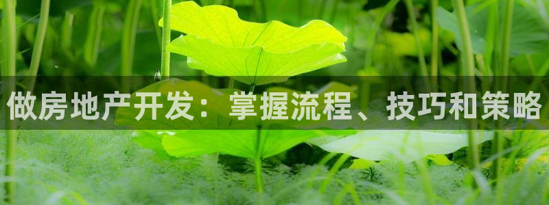 山东永利新材料